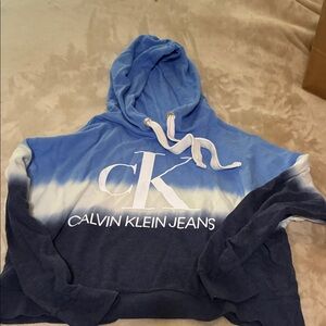 Calvin Klein Blue and White Gradient Hoodie